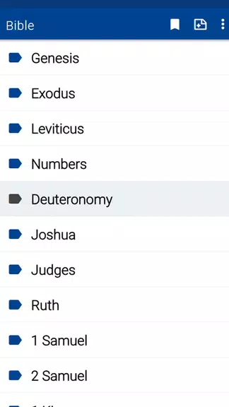 Spurgeon Bible Commentary スクリーンショット 1