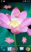 Lotus Live Wallpaper स्क्रीनशॉट 0