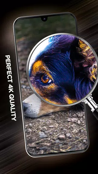 Wallpapers with dogs in 4K স্ক্রিনশট 3