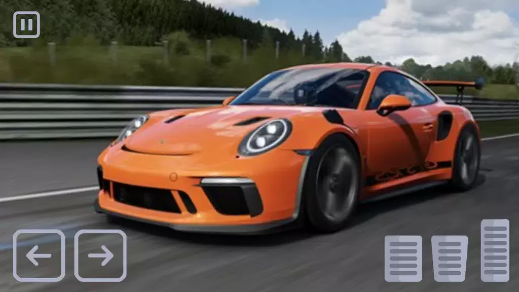 Racing Porsche Carrera 911 GT3 Ekran Görüntüsü 0