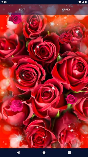 Schermata Red Rose Live Wallpaper 1