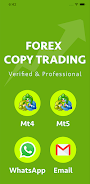 Forex copy trading Forex Auto 스크린샷 0