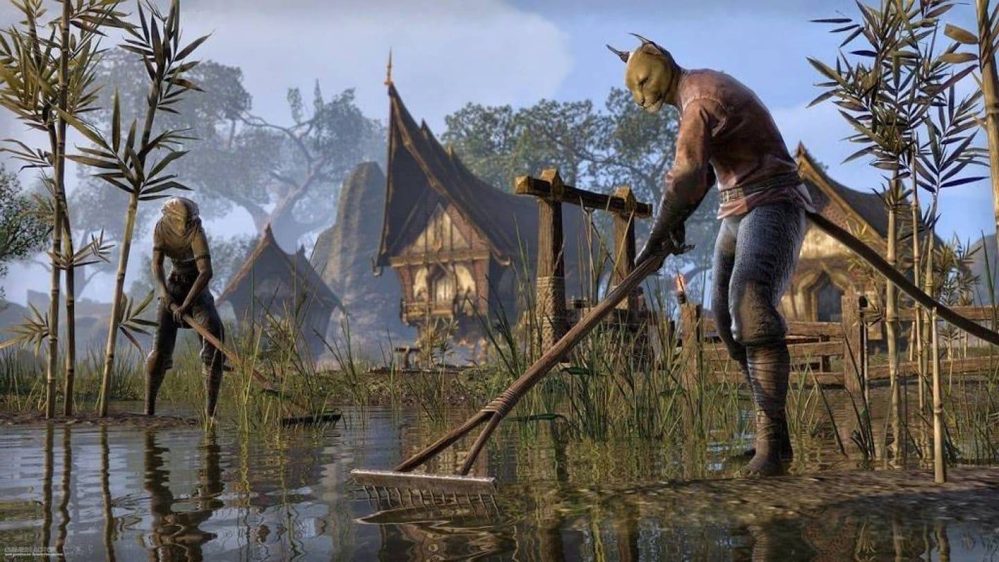 Gamer membayar hampir $ 100,000 untuk menjadi sebahagian daripada Elder Scrolls VI