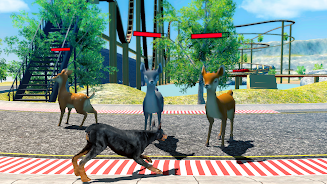 Doberman Dog Simulator স্ক্রিনশট 1