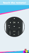 Schermata Remote for Hisense Smart TV 0