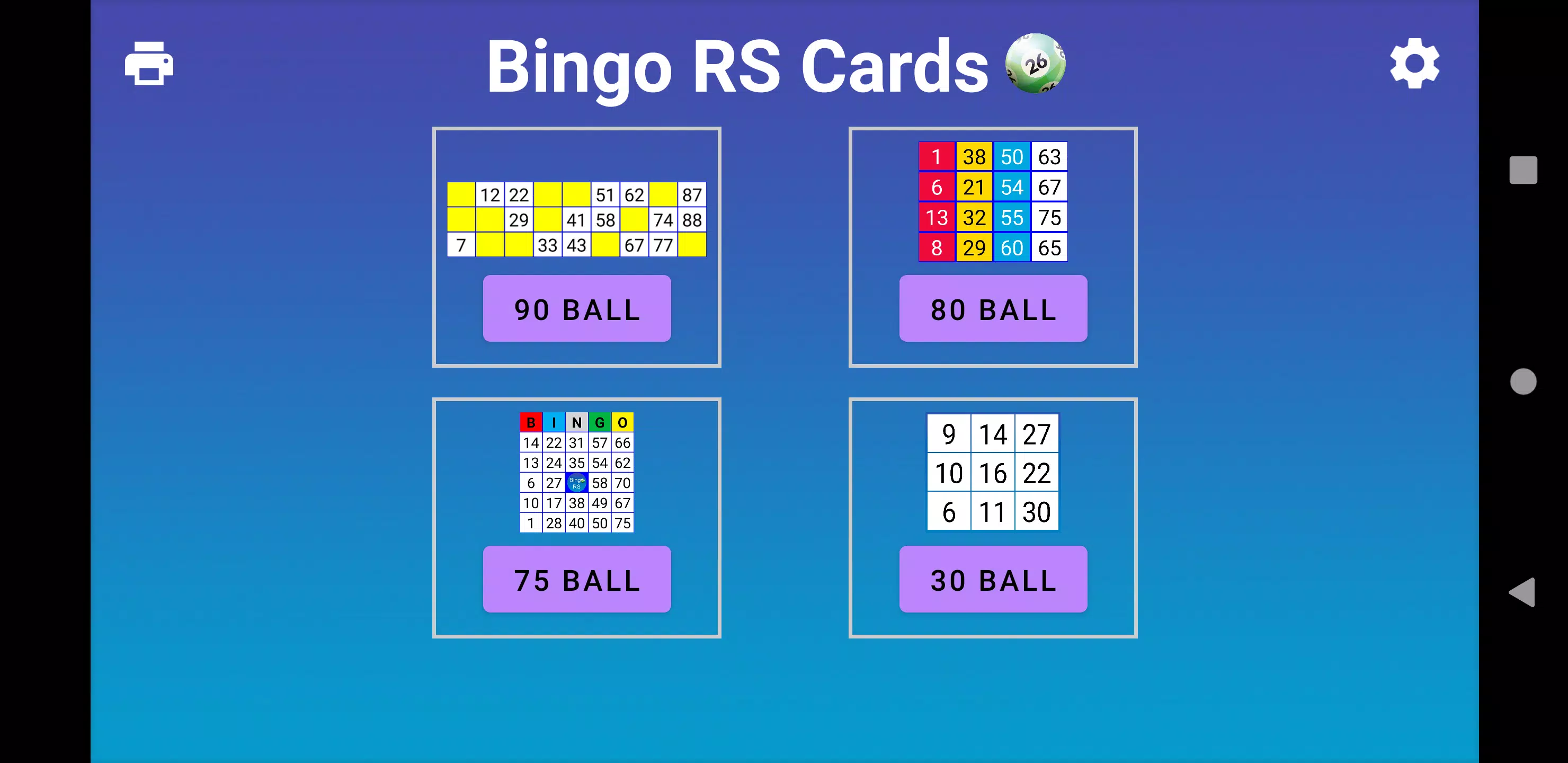 Bingo RS Cards স্ক্রিনশট 0