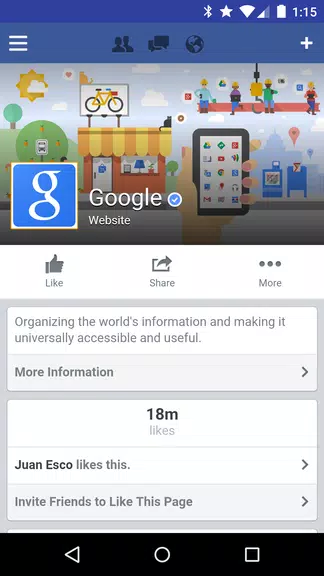 Tinfoil for Facebook スクリーンショット 0
