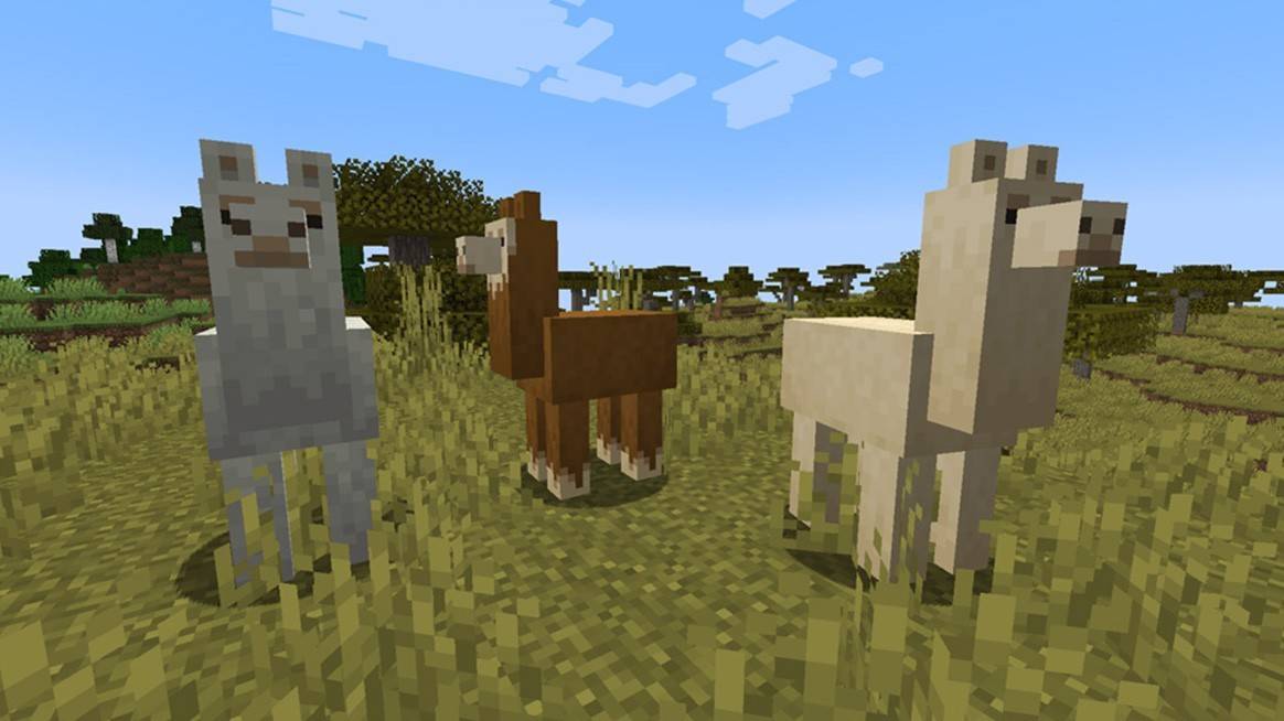 Llamas ใน Minecraft