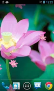 Lotus Live Wallpaper ဖန်သားပြင်ဓာတ်ပုံ 1