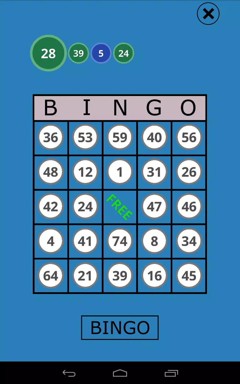 Classic Bingo Touch Tangkapan skrin 2