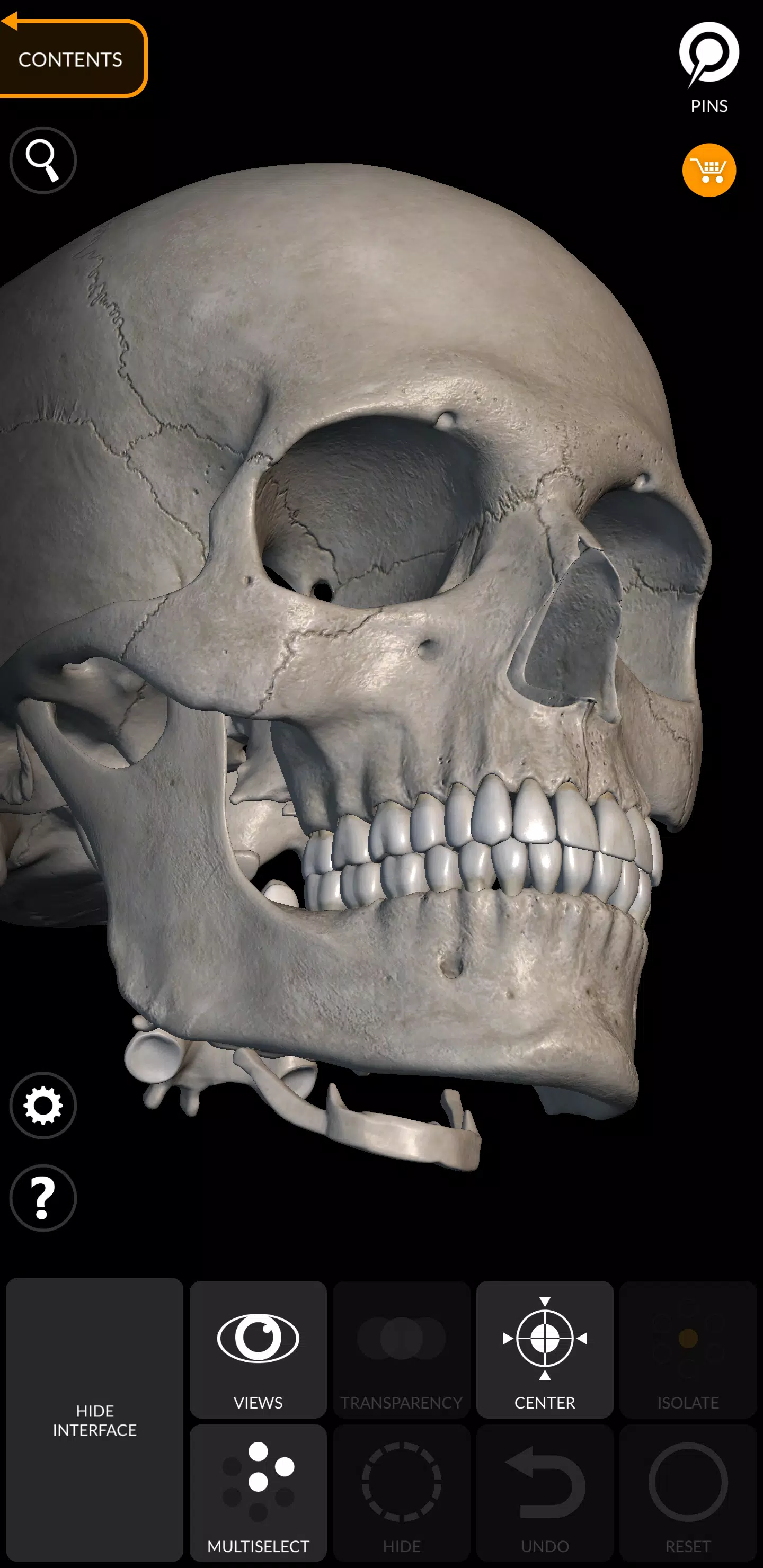 Skeleton 스크린샷 3