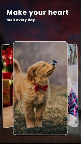 Puppy Love: Cute Dog Wallpaper Ảnh chụp màn hình 2