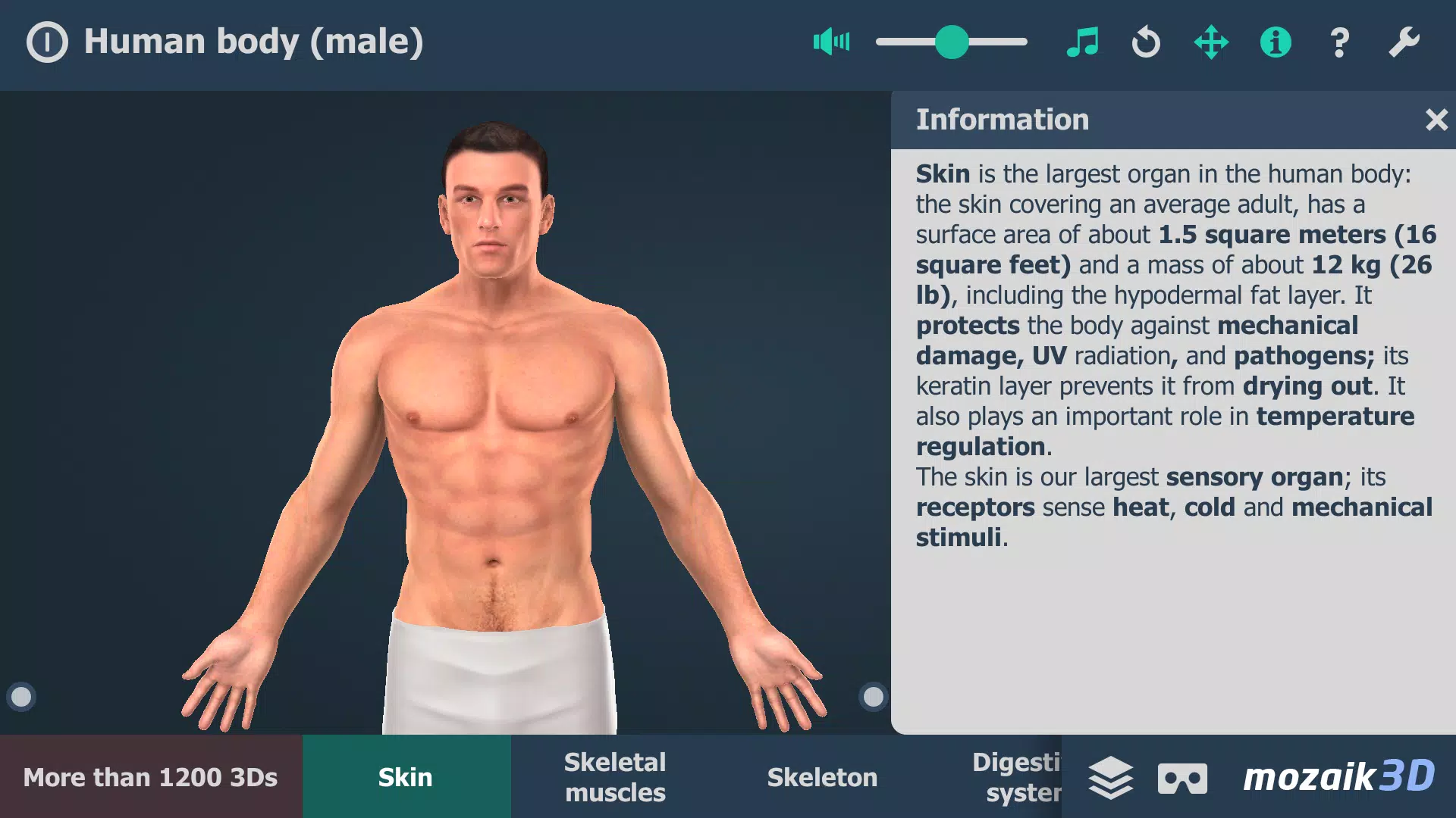 Le corps humain en 3D Capture d'écran 0