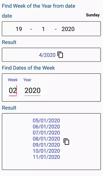 Age Calculator Schermafbeelding 2