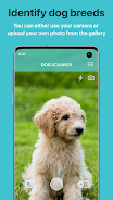 Dog Scanner: Breed Recognition ဖန်သားပြင်ဓာတ်ပုံ 0