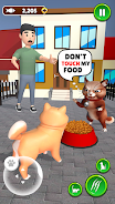 Cat Life Choices Pet Simulator Screenshot 1