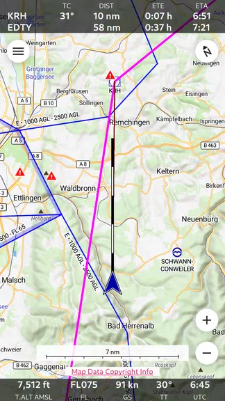 Enroute Flight Navigation Tangkapan skrin 0