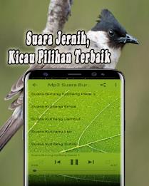 Suara Burung Kutilang Offline ภาพหน้าจอ 3