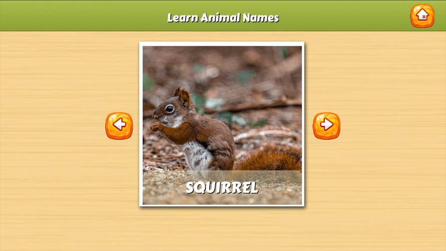 Learn Animal Names Screenshot 0