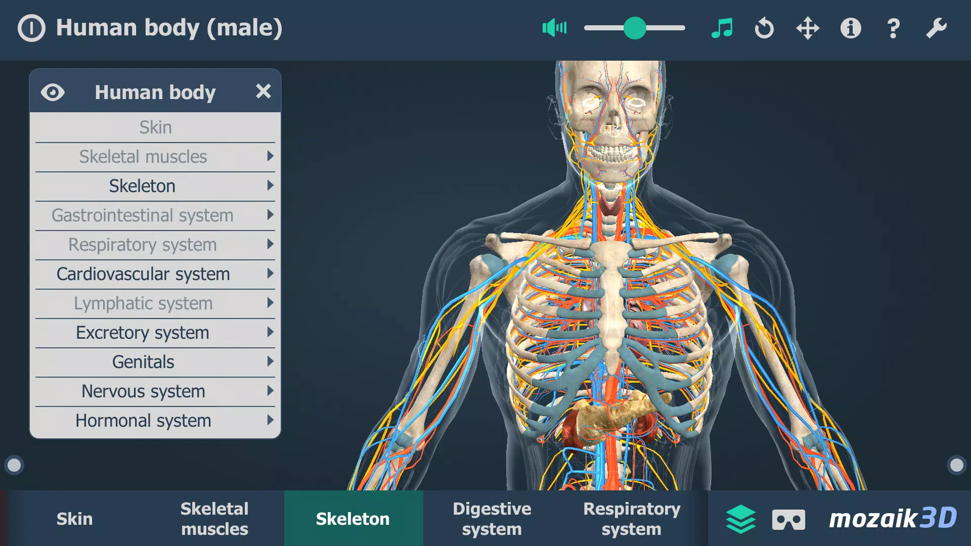 Le corps humain en 3D Capture d'écran 3
