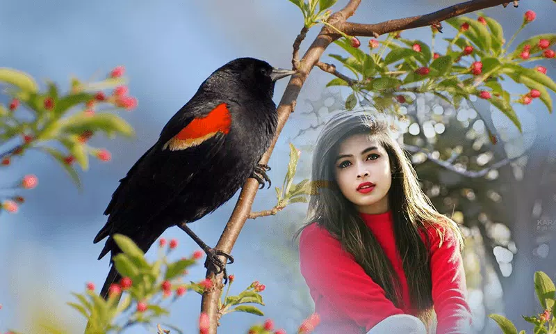 Birds Photo frame : Bird photo स्क्रीनशॉट 3