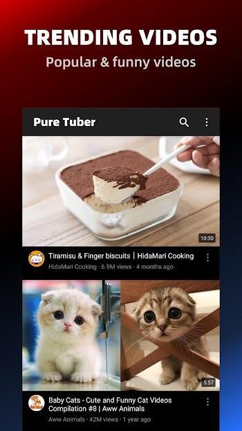 Pure Tuber: Video & MP3 Player Capture d'écran 0