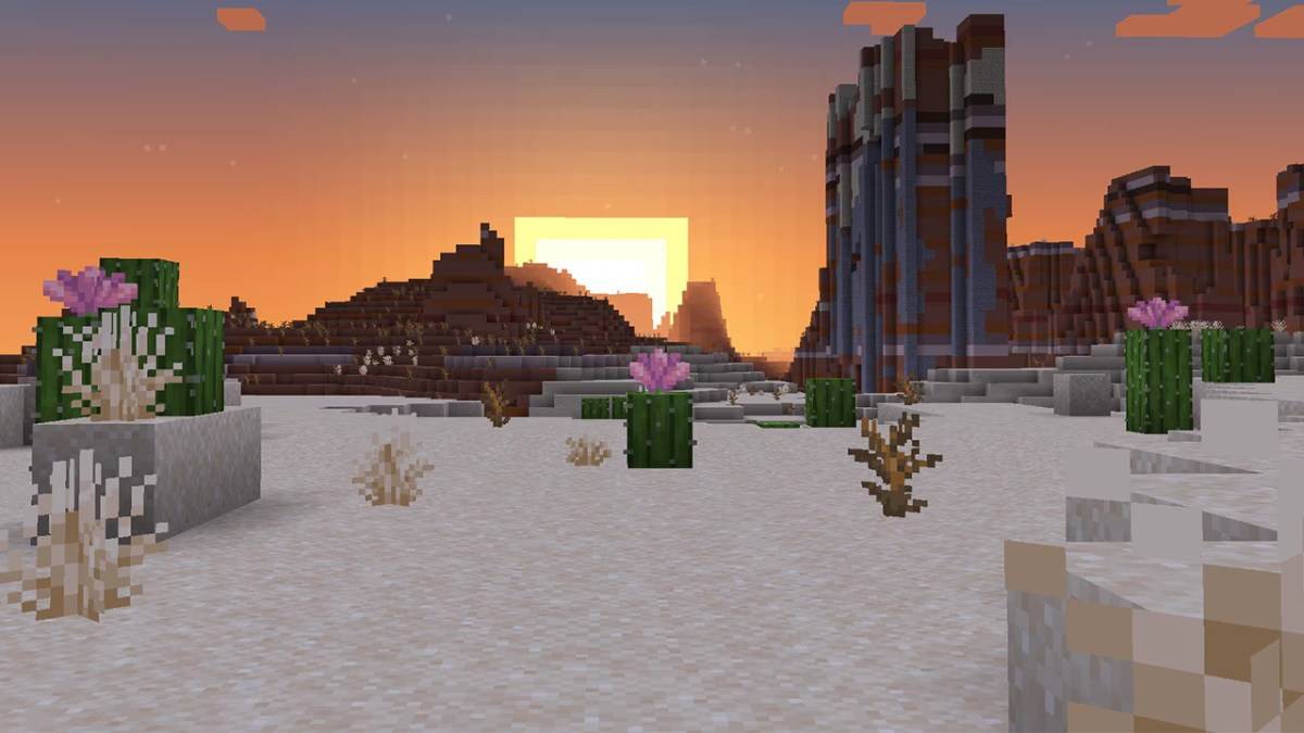 Fleur de cactus dans Minecraft.