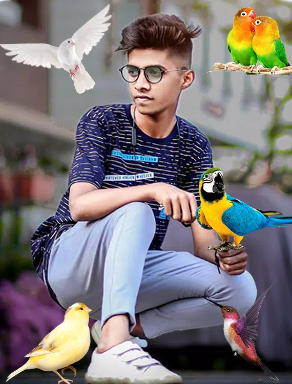 Birds Photo frame : Bird photo स्क्रीनशॉट 2