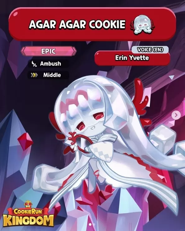 Agar Agar Cookie: ကျွမ်းကျင်မှု, toppings, treasures နှင့် Team လမ်းညွှန်