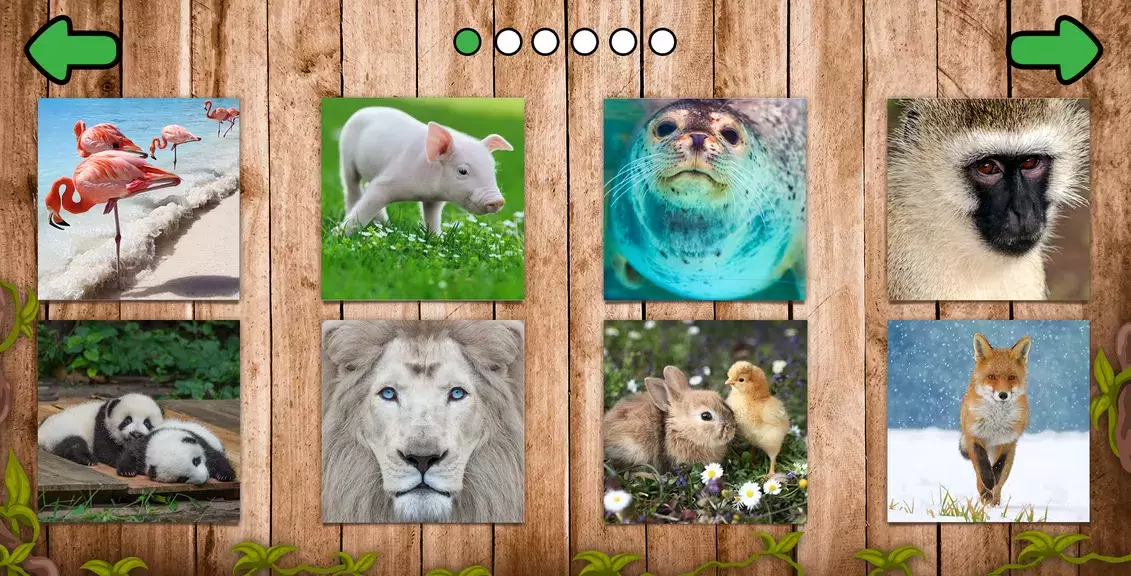 Animal puzzle games offline ภาพหน้าจอ 1