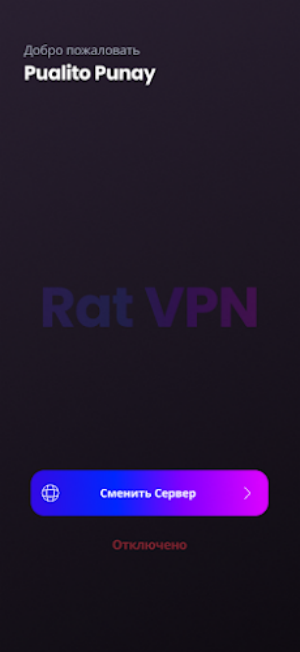 Rat VPN应用截图第0张