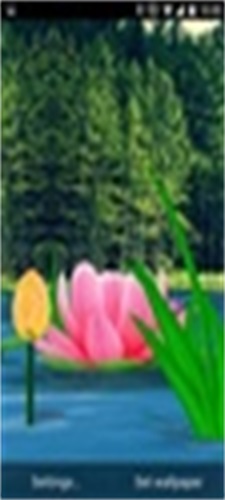 Flower Live Wallpaper 3D Скриншот 1