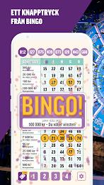 BingoLotto Schermafbeelding 0