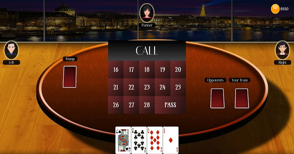 29 Card Game Lite स्क्रीनशॉट 1