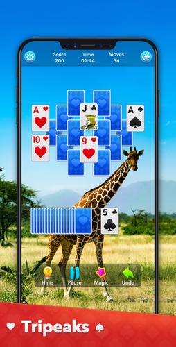 Solitaire Collection Capture d'écran 2