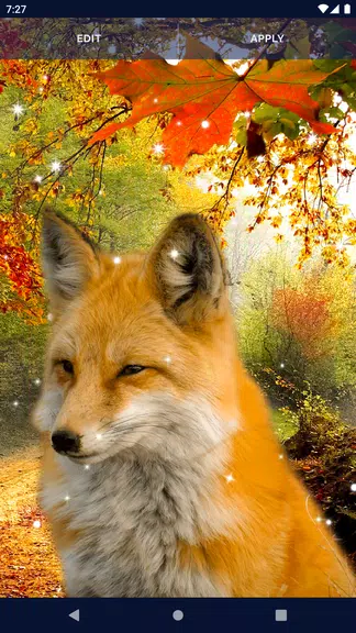 Parallax Nature Live Wallpaper应用截图第3张