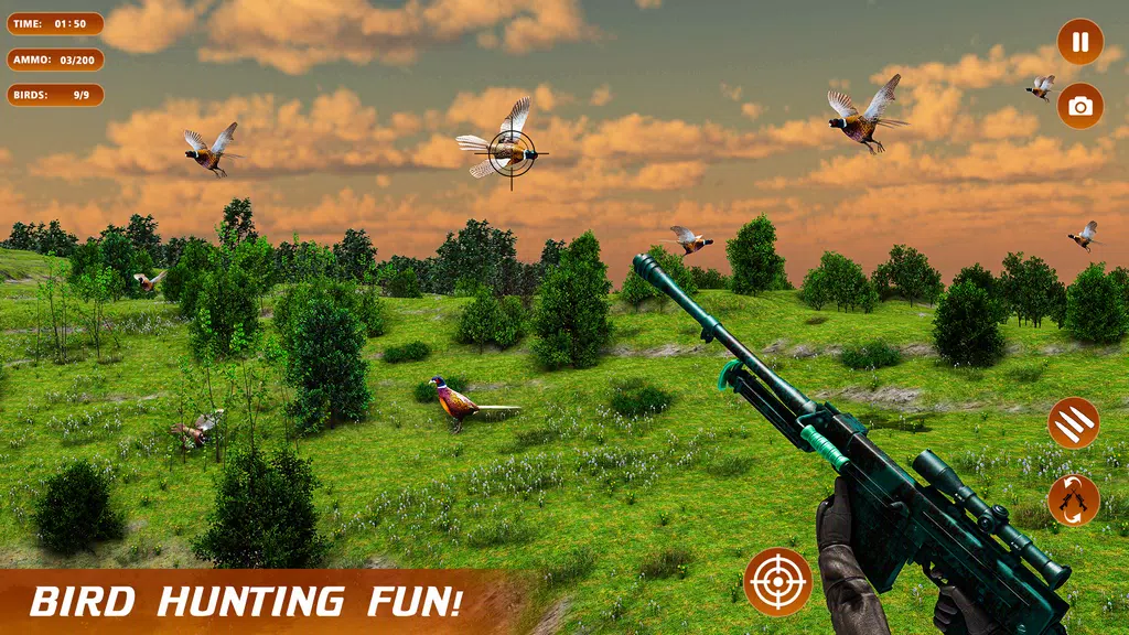 Pheasant Shooter Birds Hunting Скриншот 3