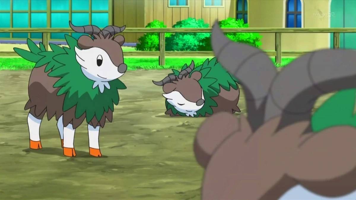 Skiddo