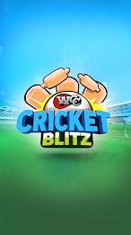 WCC Cricket Blitz ภาพหน้าจอ 0