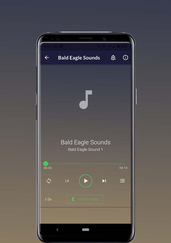 Bald Eagle Sounds 螢幕截圖 1