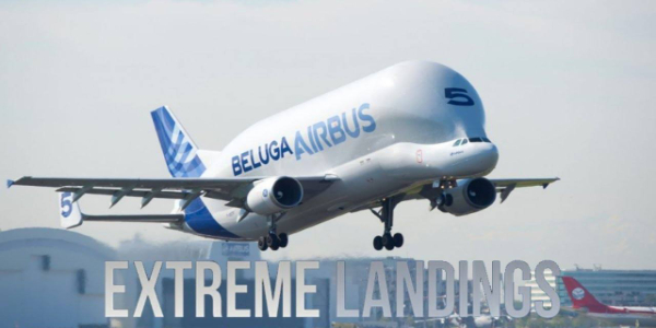 Extreme Landings Pro Captura de pantalla 0