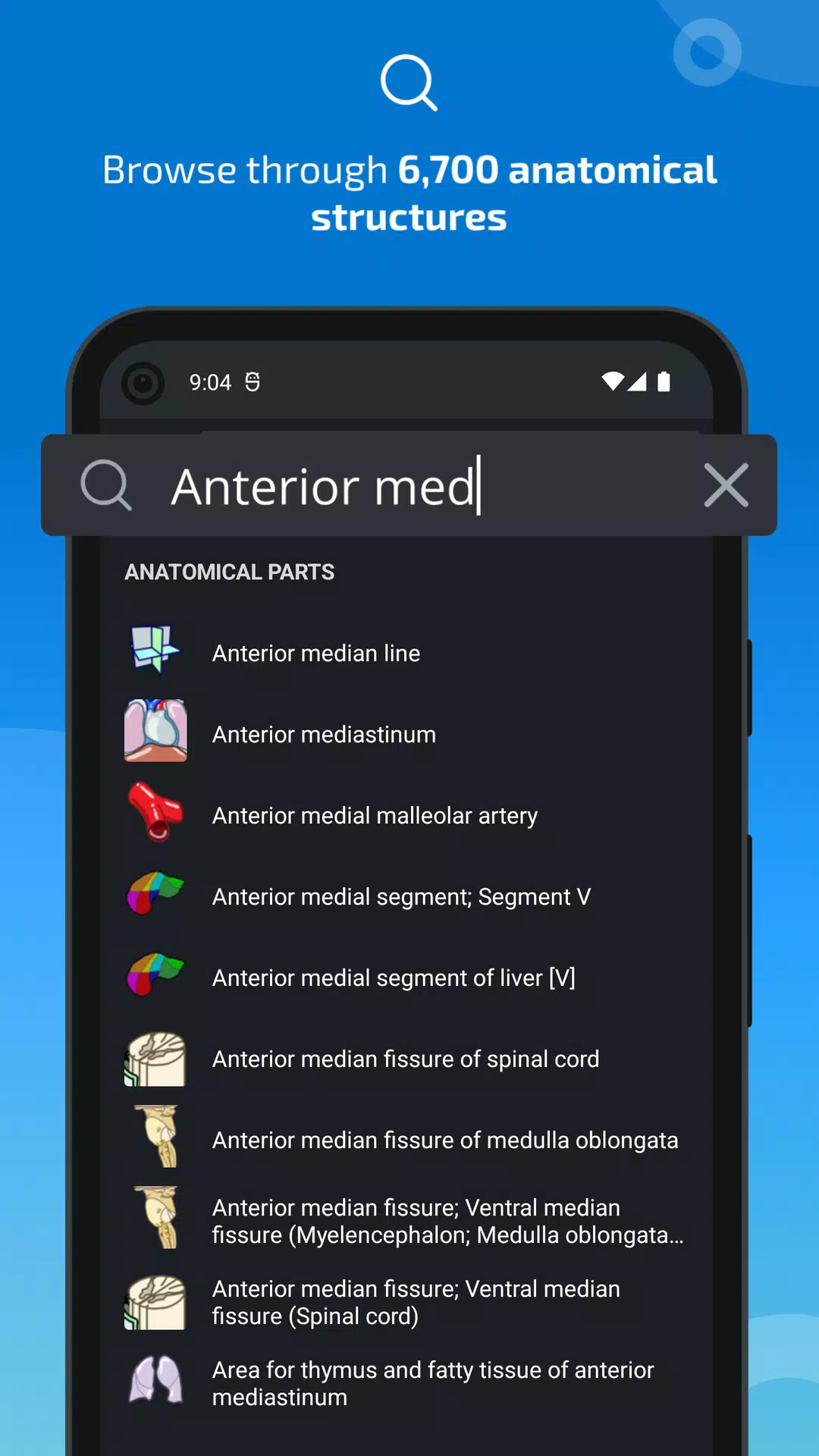 e-Anatomy 螢幕截圖 2