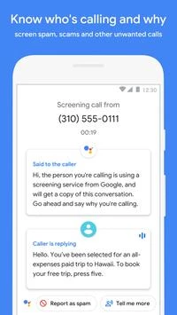 Phone by Google Screenshot 1