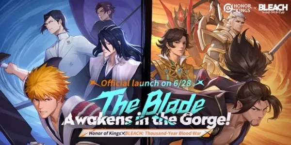 Honor of Kings and Bleach Unite for Thrilling Thousand-Year Blood War Event