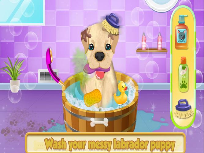 Cute Pet Dog Training Care应用截图第0张