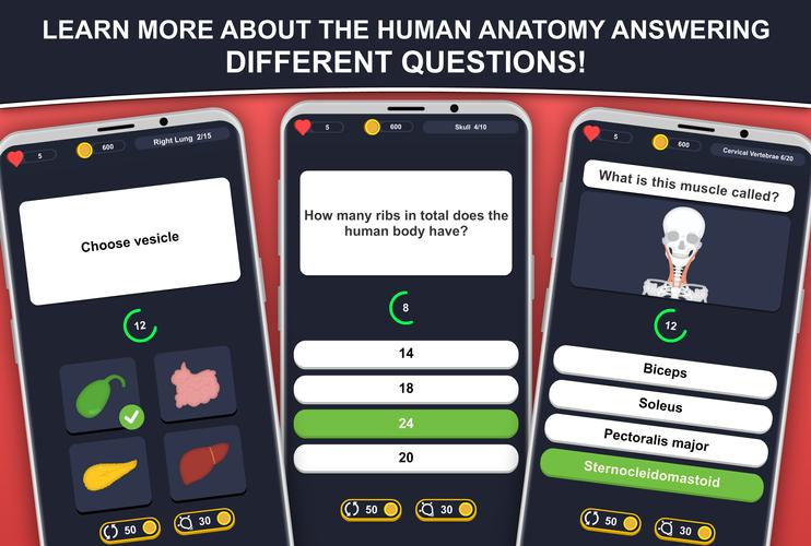 Anato Trivia Скриншот 0