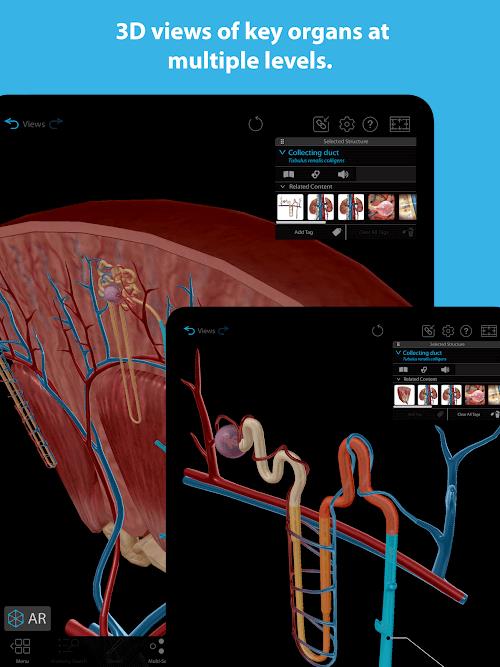 Human Anatomy Atlas 2023应用截图第2张