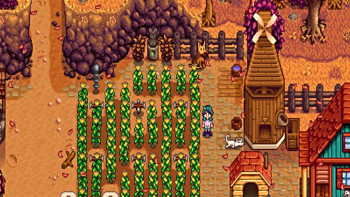 Pets Galore: Stardew Valley'de Hayvan Ailenizi Nasıl Genişletirsiniz?