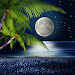 Tropical Night Live Wallpaper