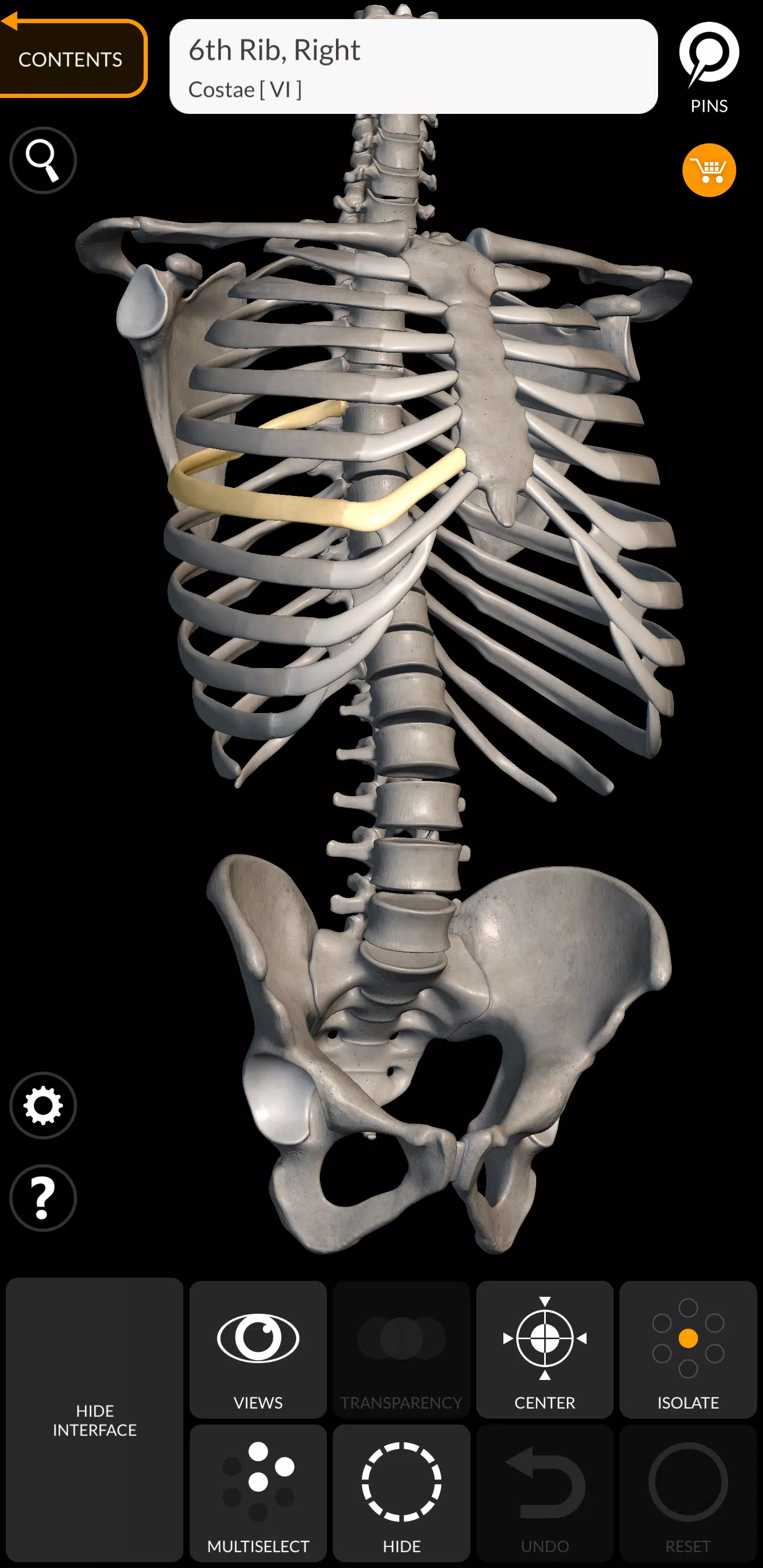 Skeleton 스크린샷 0